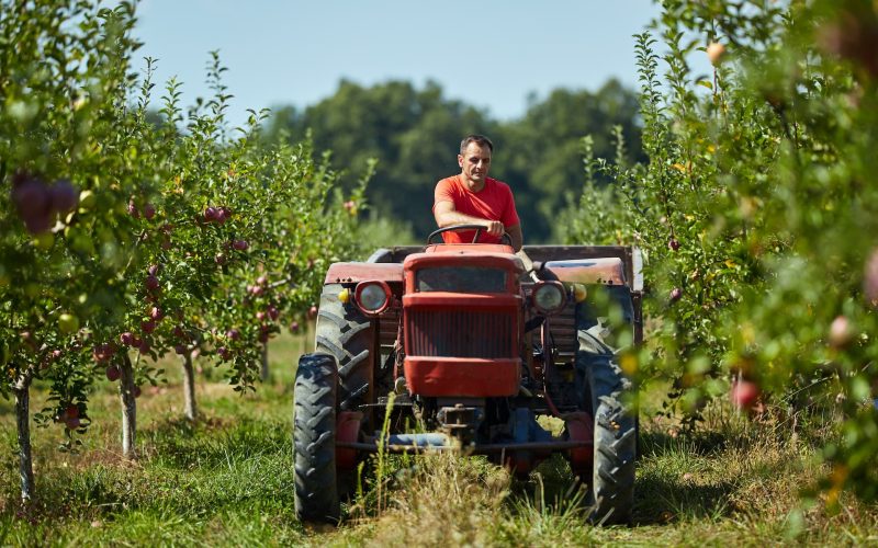 Trades and Farming Sector